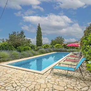 https://haus-tireli-143s.in-istria.net